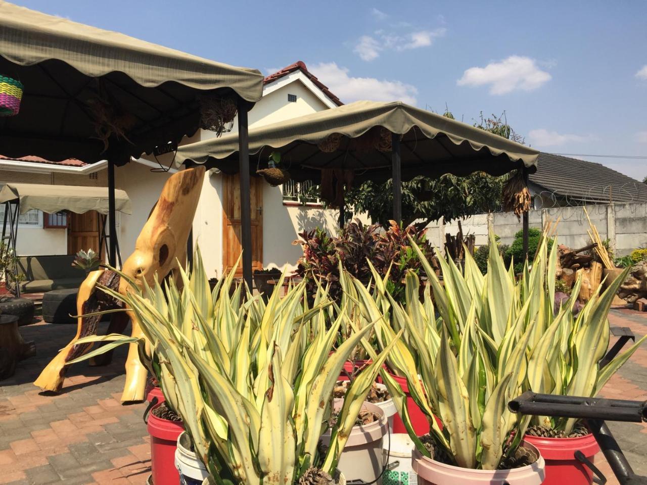 Kwampofu Guest House 哈拉雷 外观 照片